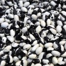 New Arrival Calypso Bush Bean 200 Seeds aka Orka beans Yin Yang Bulk Rare New Arrival Calypso Bush Bean 200 Seeds aka Orka beans Yin Yang Bulk Rare