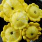 New Arrival Yellow Bush Scallops Summer Squash Golden Custard Patty Pan