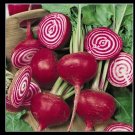 New Arrival Chioggia Beet 60 - .5 Lb Seeds CandyStripe Bull's Eye Mild Bassano Microgreens New Arrival Chioggia Beet 60 - .5 Lb Seeds CandyStripe Bull's Eye Mild Bassano Microgreens