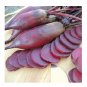 Top-Quality Cylindra Long Red Beet root Sweet & Delicious MORE SLICES