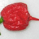 Premium 8.5 Grams 1/3 OZ CAROLINA REAPER chili Powder sample Spice HOTTEST IN THE WORLD! Premium 8.5 Grams 1/3 OZ CAROLINA REAPER chili Powder sample Spice HOTTEST IN THE WORLD!