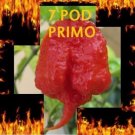 Exclusive 1000 Seeds Trinidad 7 Pod (7 Pot) PRIMO Rare Hottest Pepper World Record EXTREME Exclusive 1000 Seeds Trinidad 7 Pod (7 Pot) PRIMO Rare Hottest Pepper World Record EXTREME