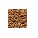 Premium 10 Seeds TIGER'S EYE Beans Bush Shell or Dry Beautiful Golden color Heirloom