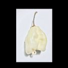 Best-Selling WHITE Carolina Reaper 5 Seeds SUPER RARE!!! Hot chili pepper world record