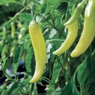 Top-Quality Sweet Banana Pepper Heirloom mild great flavor pickled & salads!
