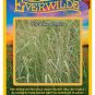 Best-Selling 1000 Switch Grass Native Grass Seeds