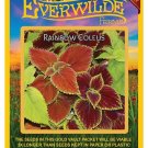 Best-Selling 1000 Rainbow Mixed Coleus Wildflower Seeds Best-Selling 1000 Rainbow Mixed Coleus Wildflower Seeds