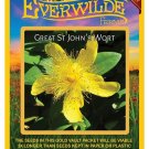 New Arrival 2000 Great St John's Wort Wildflower Seeds New Arrival 2000 Great St John's Wort Wildflower Seeds