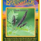 Limited Edition 200 False Indigo Wildflower Seeds Limited Edition 200 False Indigo Wildflower Seeds
