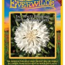 New Arrival 500 Tall White Bachelor Button Cornflower Wildflower Seeds