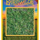 Limited Edition 100 Buffalo Grass Native Grass Seeds Limited Edition 100 Buffalo Grass Native Grass Seeds