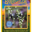 Limited Edition 100 Bishop's Cap Wildflower Seeds Limited Edition 100 Bishop's Cap Wildflower Seeds