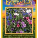 Best-Selling 500 Polka Dot Mixed Bachelor Button Wildflower Seeds