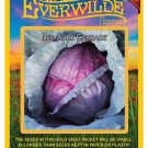 Top-Quality 500 Red Acre Cabbage Seeds
