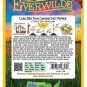 Best-Selling 50 Long Red Thin Cayenne Hot Pepper Seeds