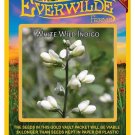 New Arrival 75 White Wild Indigo Wildflower Seeds New Arrival 75 White Wild Indigo Wildflower Seeds