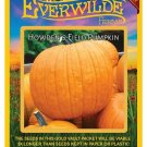 Best-Selling 1 Oz Howden's Field Pumpkin Pumpkin Seeds