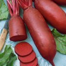 Best-Selling 1/4 Lb Cylindra Beet Seeds Best-Selling 1/4 Lb Cylindra Beet Seeds
