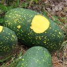 Limited Edition 1/4 Lb Red Moon And Stars Watermelon Seeds Limited Edition 1/4 Lb Red Moon And Stars Watermelon Seeds