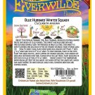 New Arrival 20 Blue Hubbard Winter Squash Seeds New Arrival 20 Blue Hubbard Winter Squash Seeds