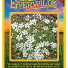 Limited Edition 1 Oz Annual Baby's Breath Wildflower Seeds Limited Edition 1 Oz Annual Baby's Breath Wildflower Seeds