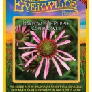 Limited Edition 200 Narrow Leaf Purple Coneflower Wildflower Seeds Limited Edition 200 Narrow Leaf Purple Coneflower Wildflower Seeds