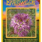 Premium 300 Rocky Mountain Bee Plant Wildflower Seeds