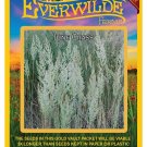 Limited Edition 2000 June Grass Native Grass Seeds Limited Edition 2000 June Grass Native Grass Seeds