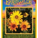 New Arrival 1 Oz African Daisy Wildflower Seeds New Arrival 1 Oz African Daisy Wildflower Seeds