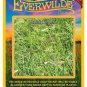 Premium 1000 Blue Grama Native Grass Seeds