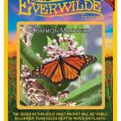 Limited Edition 200 Common Milkweed Wildflower Seeds Limited Edition 200 Common Milkweed Wildflower Seeds