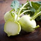 Best-Selling 1/4 Lb White Vienna Kohlrabi Seeds