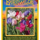 Limited Edition 50 Mammoth Mixed Sweet Pea Wildflower Seeds