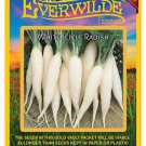 Limited Edition 500 White Icicle Radish Seeds Limited Edition 500 White Icicle Radish Seeds
