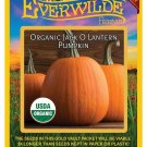 Best-Selling 20 Organic Jack O Lantern Pumpkin Seeds Best-Selling 20 Organic Jack O Lantern Pumpkin Seeds