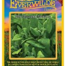 Best-Selling 100 New Zealand Spinach Seeds