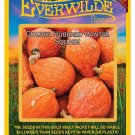 New Arrival 40 Golden Hubbard Winter Squash Seeds
