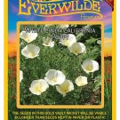 Premium 1000 White Linen California Poppy Wildflower Seeds
