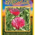 Limited Edition 500 Tall Red Bachelor Button Cornflower Wildflower Seeds