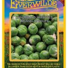 Top-Quality 1 Oz Long Island Improved Brussels Sprouts Seeds Top-Quality 1 Oz Long Island Improved Brussels Sprouts Seeds