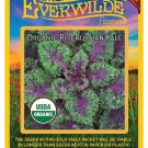 Limited Edition 1 Oz Organic Red Russian Kale Seeds Limited Edition 1 Oz Organic Red Russian Kale Seeds