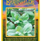New Arrival 500 Canton Pak Choi Chinese Cabbage Seeds New Arrival 500 Canton Pak Choi Chinese Cabbage Seeds