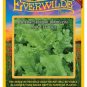 New Arrival 1 Oz Black Seeded Simpson Leaf Lettuce Seeds
