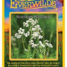 Top-Quality 250 Northern Bedstraw Wildflower Seeds Top-Quality 250 Northern Bedstraw Wildflower Seeds