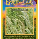 Best-Selling 500 Canada Wild Rye Native Grass Seeds