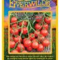 Limited Edition 100 Small Red Cherry Heirloom Tomato Seeds