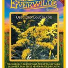 Limited Edition 2000 Old Field Goldenrod Wildflower Seeds Limited Edition 2000 Old Field Goldenrod Wildflower Seeds