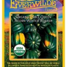 Exclusive 20 Organic Table Queen Acorn Winter Squash Seeds Exclusive 20 Organic Table Queen Acorn Winter Squash Seeds