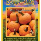 New Arrival 40 Small Sugar Pumpkin Seeds