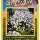 Top-Quality 50 New Jersey Tea Wildflower Seeds Top-Quality 50 New Jersey Tea Wildflower Seeds